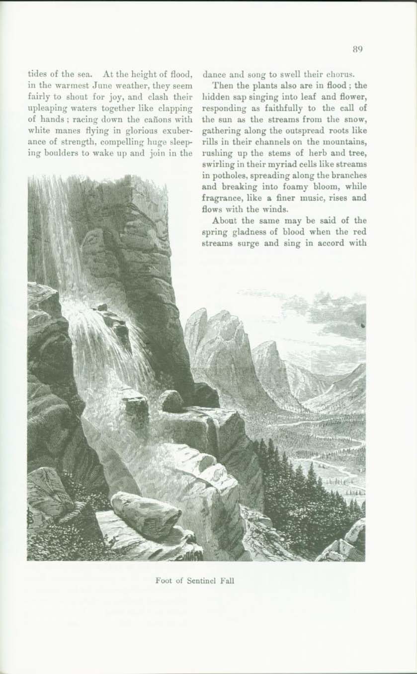 OUR YOSEMITE NATIONAL PARK. vist0061n